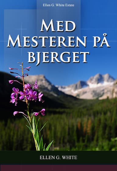 Med Mesteren på bjerget